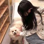 部分银行分红方案出炉，这家金额创新高